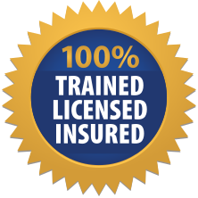 Trained, licenced and insured pest controllers
